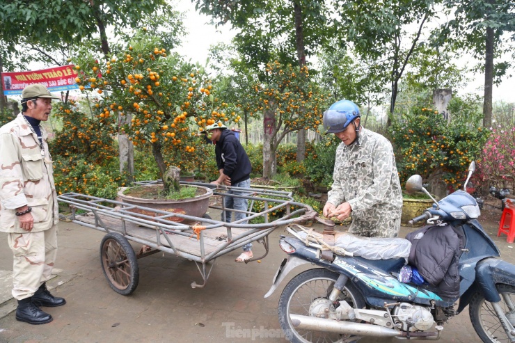 “Mỗi ngày, tôi chạy 7 - 10 chuyến vận chuyển cây cảnh đến từng nhà, có khi hơn. Ngoài tiền vận chuyển, thi thoảng tôi còn được khách bo thêm 30.000 – 50.000 đồng để uống nước. Nhìn thế thôi nhưng vất vả lắm. Những cây to mà bê lên bê xuống cũng toát hết mồ hôi nên không có sức khỏe, không quen, không làm được đâu”, ông Hùng chia sẻ.