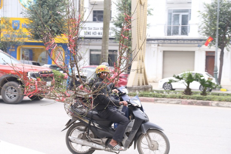 Giá cả mỗi lần chở thuê phụ thuộc vào khoảng cách xa, gần và kích thước cây cảnh.