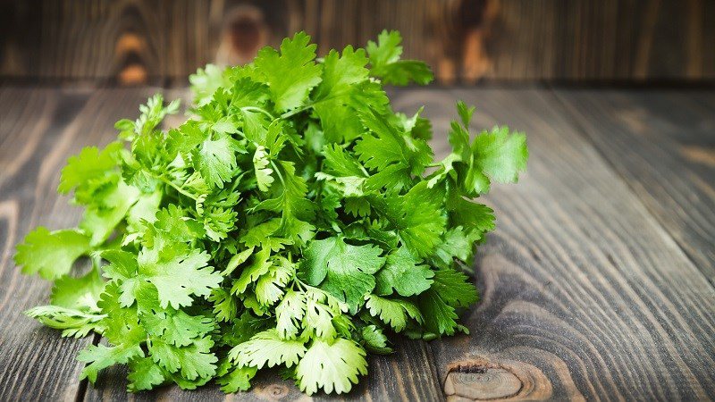 10 lợi ích sức khỏe tuyệt vời của rau mùi, gia vị không thể thiếu trong mâm cơm ngày Tết - 2