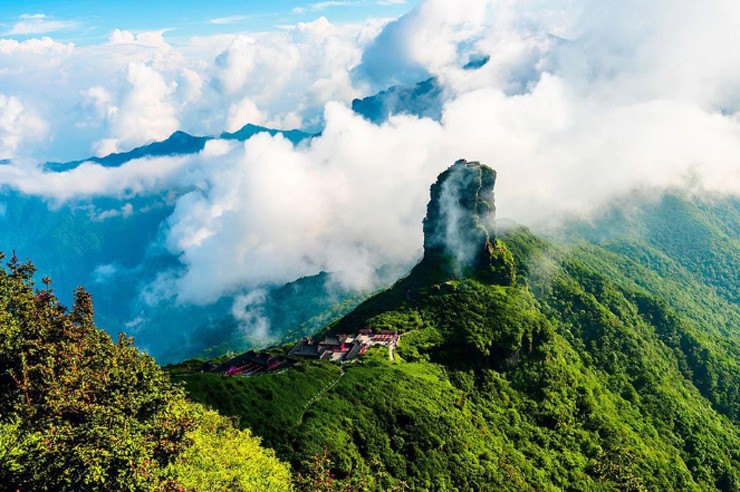 Trà Bạch Long: Cây chè Bạch Long hàng ngàn năm tuổi sống ở độ cao 2400 – 2700m so với mực nước biển trên núi Hoàng Liên Sơn được xem là bảo vật của Việt Nam.
