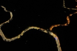 Tin tức trong ngày - Ngắm đèo Prenn đẹp lung linh về đêm