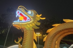 Tin tức trong ngày - Hàng ngàn người tới chiêm ngưỡng linh vật rồng ngậm ngọc dài 30m