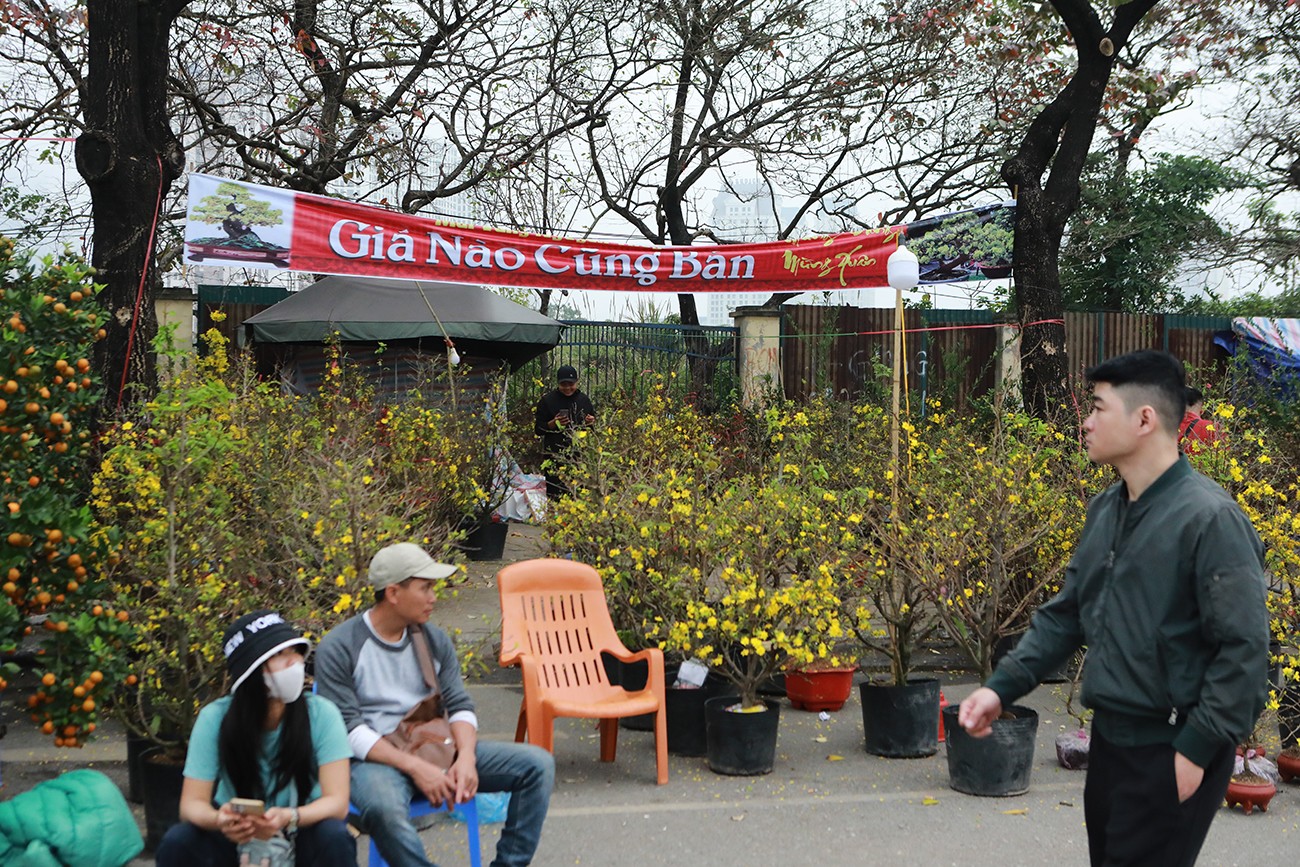 Một sạp hoa mai vàng treo biển “giá nào cũng bán” dù mới 27 Tết.