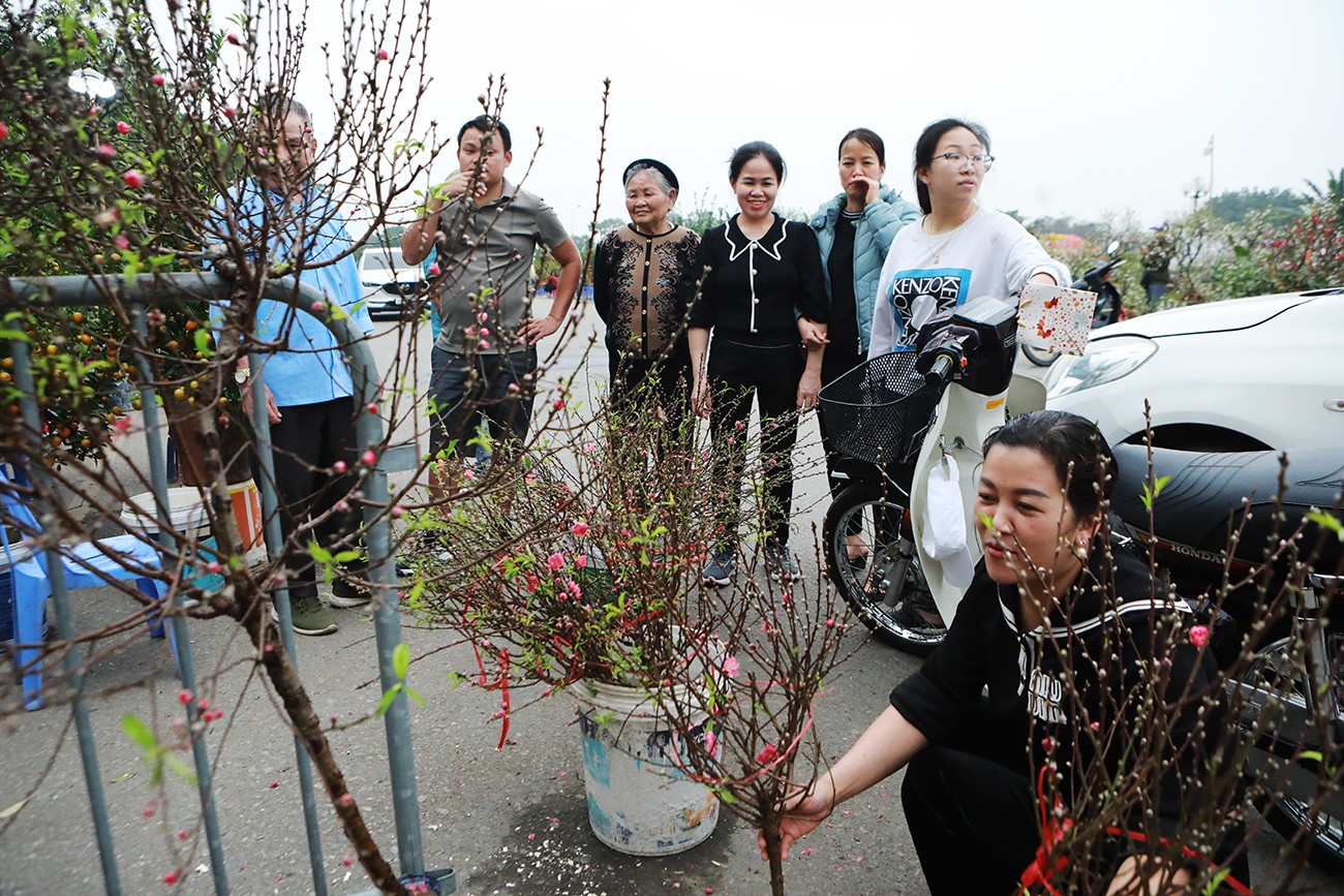 Những cành đào nhỏ giá chỉ từ vài chục nghìn đồng&nbsp;được nhiều người lựa chọn.
