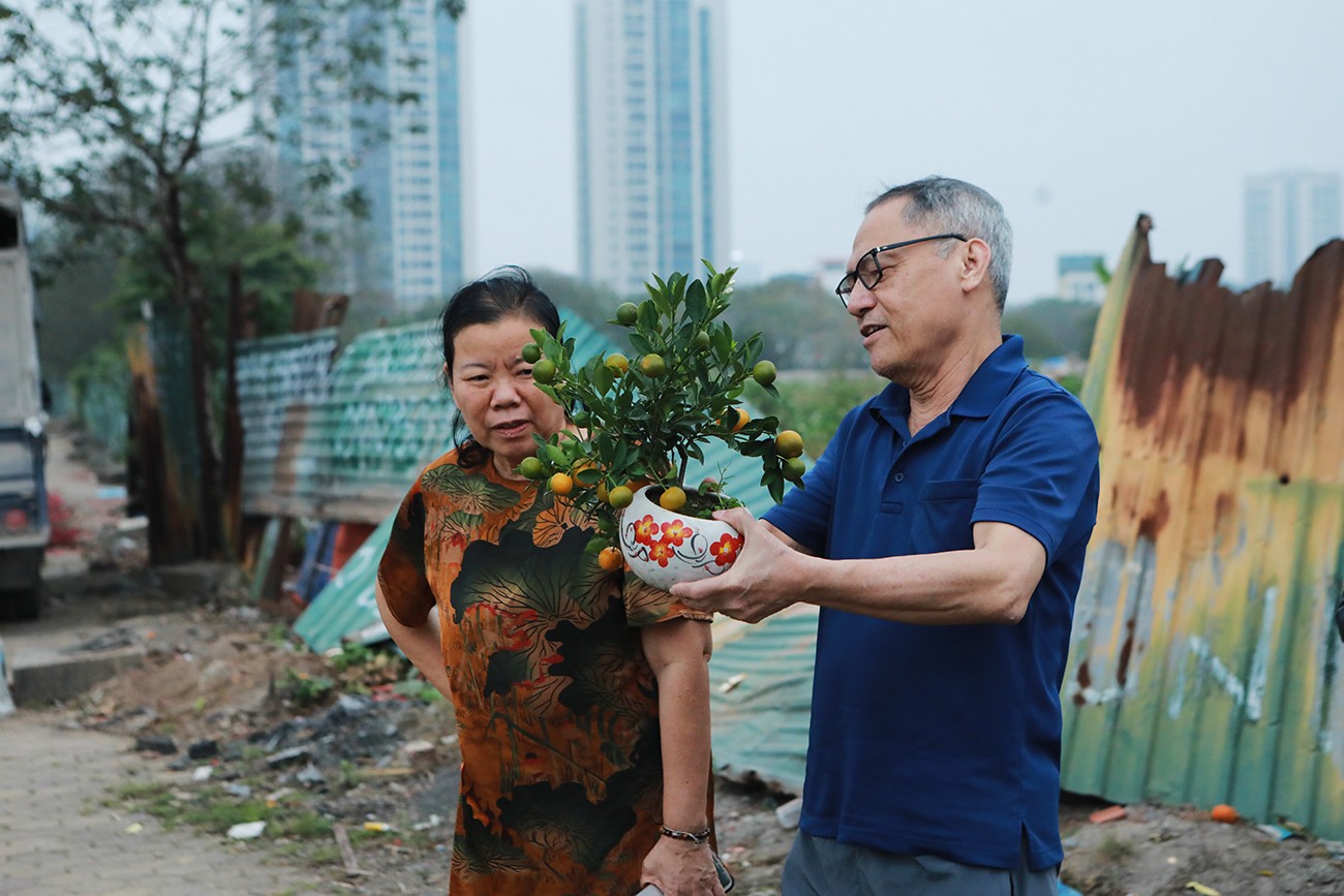 Quất cảnh mini có giá 80 nghìn đồng cũng rất được người dân ưa chuộng.