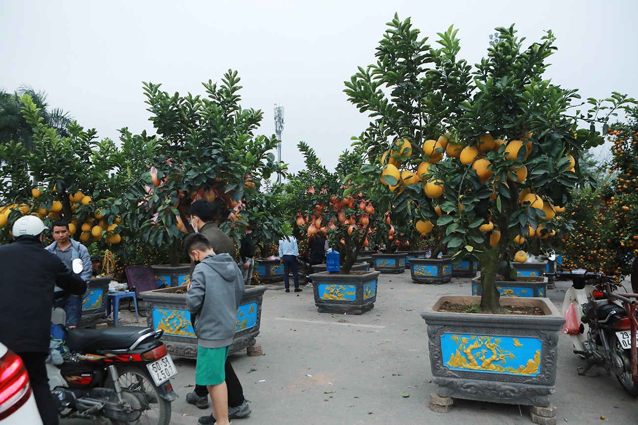 Đào, bưởi&nbsp;thế “khủng”&nbsp;hầu như không có khách hỏi mua.