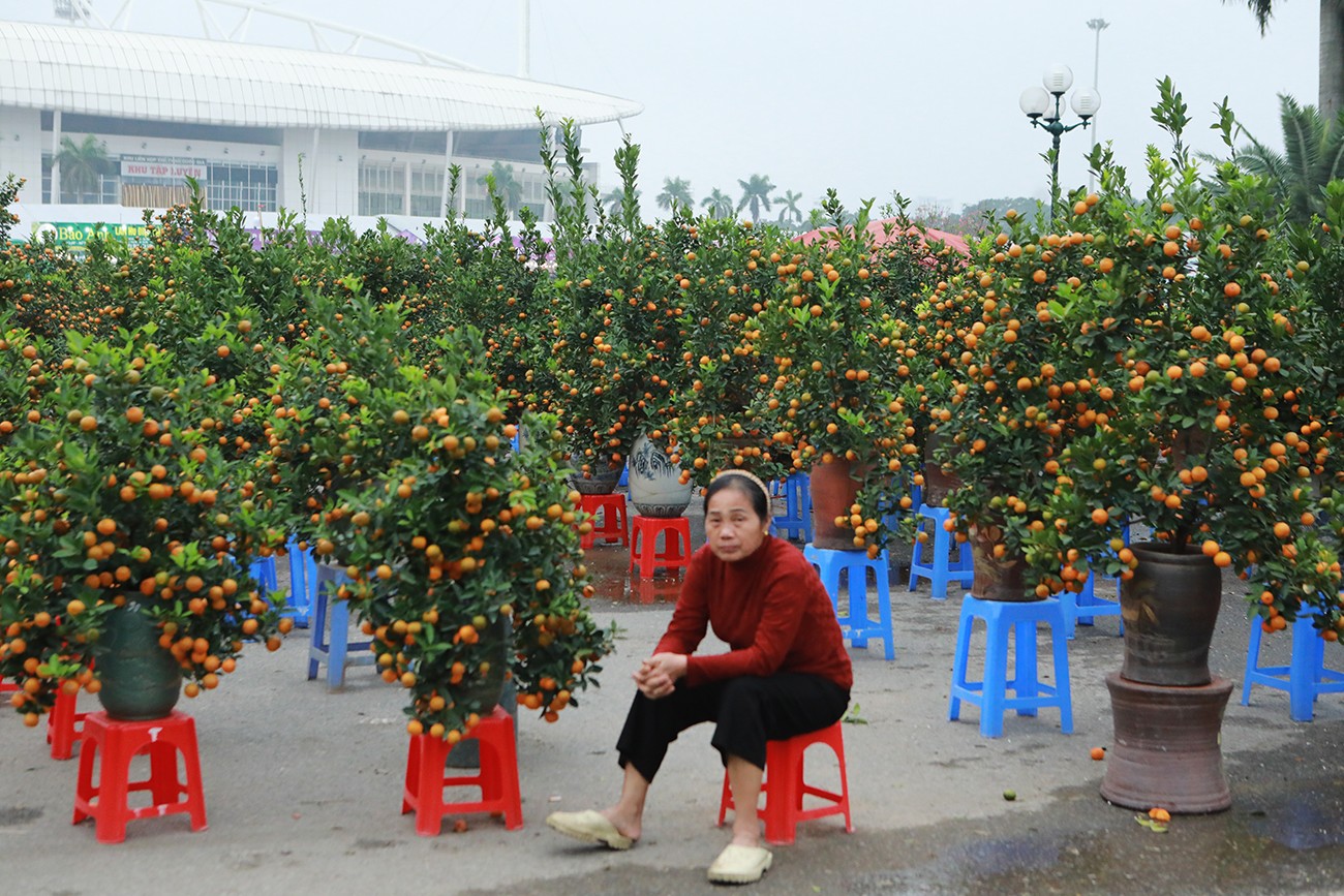 “Tôi buôn quất ở đây nhiều năm, nhưng chưa năm nào 27 Tết giá quất đã giảm một nửa mà vẫn ít khách đến mua.&nbsp;Mấy hôm trước, cây quất bonsai tầm trung giá 1,2 triệu đồng, nay giảm còn 600 – 800 nghìn đồng/cây mà vẫn ế”, bà Nguyễn Thị Lan cho biết.