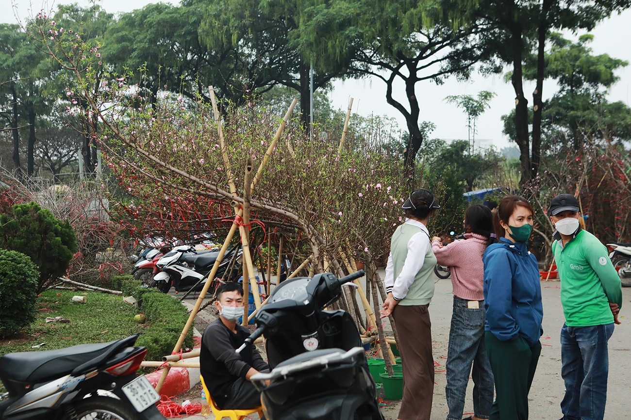 Cánh buôn đào cành cũng đứng, ngồi mỏi chân đợi khách.