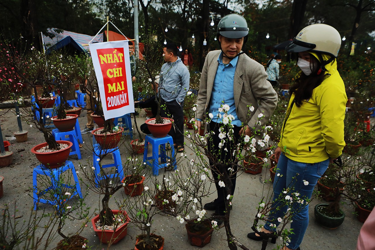 Anh Long, tiểu thương buôn hoa trên&nbsp;đường&nbsp;Lê Quang Đạo cho biết: “Mấy ngày trước, giá 1&nbsp;cây nhất chi mai từ&nbsp;600 -&nbsp;1.000 triệu đồng/cây. Hai&nbsp;ngày nay, giảm còn 200 nghìn đồng/cây mà vẫn ít khách mua. Giờ tôi chỉ mong bán được&nbsp;nhanh để kịp về đón Tết với gia đình”.