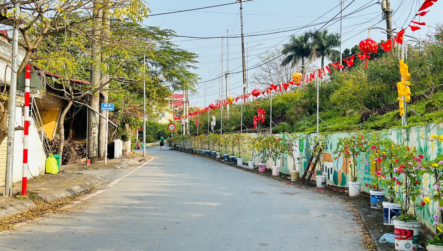 Triền đê “đẹp bậc nhất” làng quê Việt với bích họa dài hàng km, hoa cỏ khoe sắc ngày Tết - 11