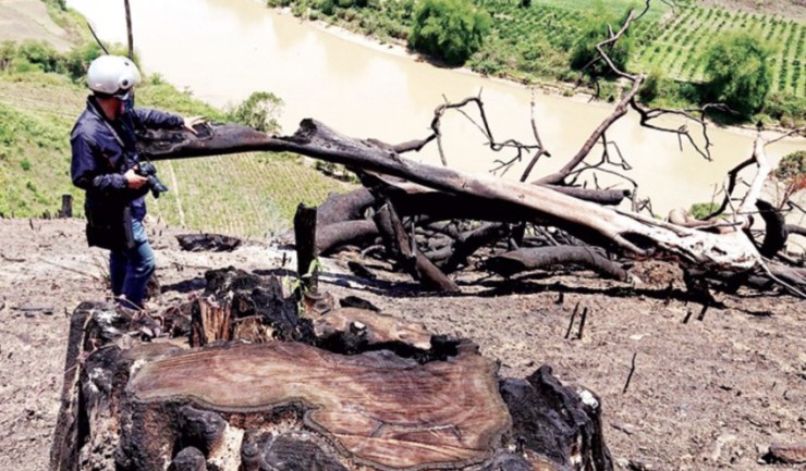 Rừng đặc dụng Nam Ka bị tàn phá. Ảnh: VŨ LONG chụp tháng 5-2018