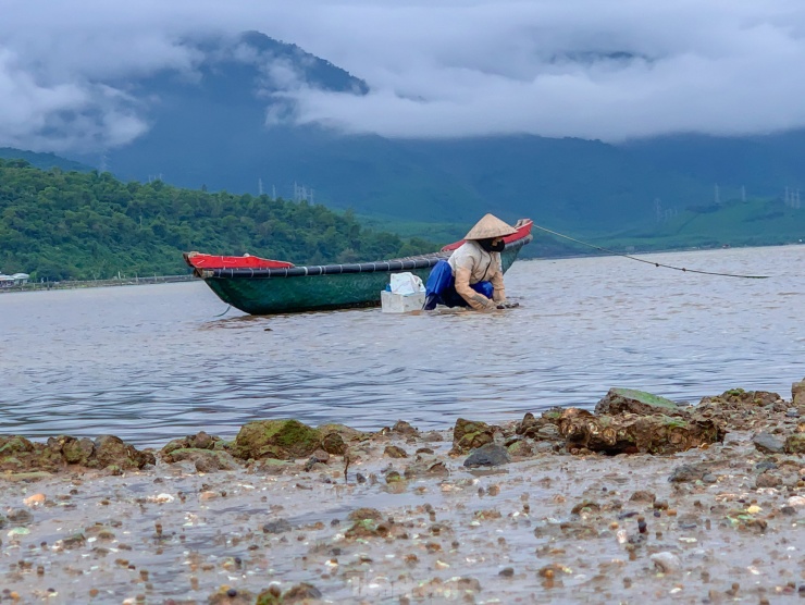 Nhọc nhằn mưu sinh trên đầm Lập An ngày sát Tết - 2