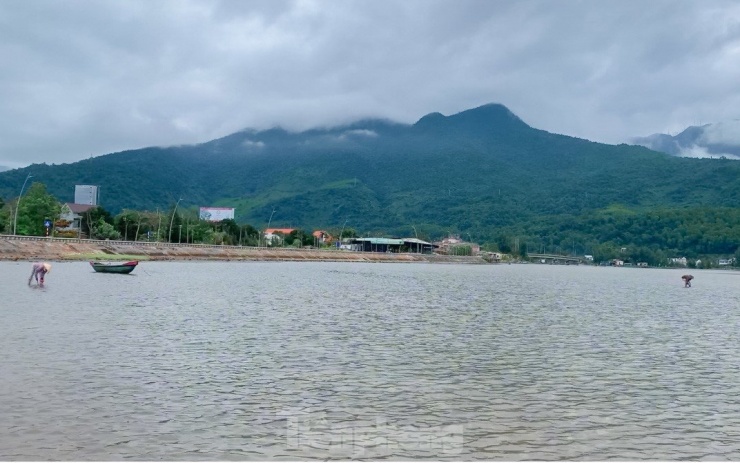 Cứ 4 giờ sáng mỗi ngày, khi nước rút là lúc người dân sống ở ven đầm lập an (xã Lộc Hải, huyện Phú Lộc) lại lặn lội ra giữa đầm nước lạnh để cào nghêu, sò mưu sinh.