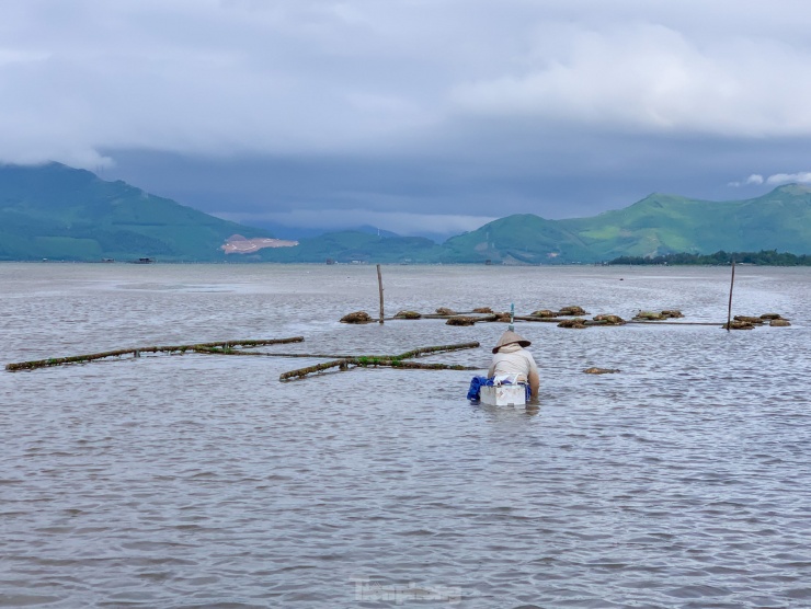 Tuy trời lạnh và phải ngâm mình nhiều giờ liền dưới nước nhưng người dân ở đây vẫn miệt mài mưu sinh.