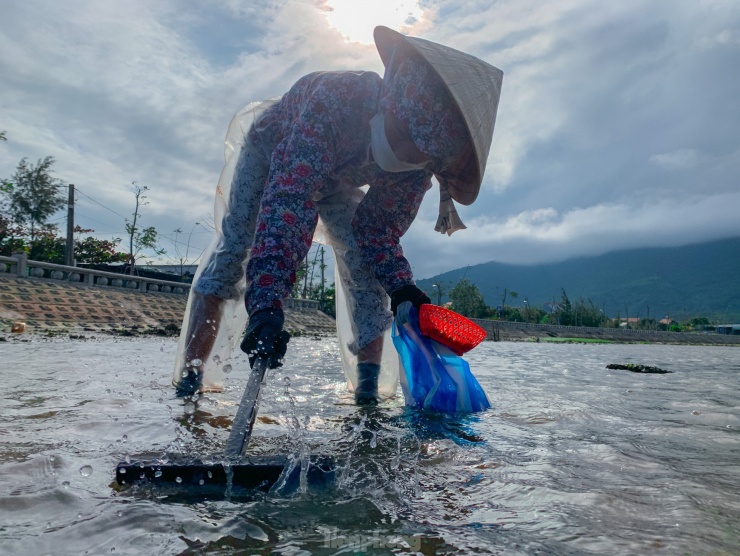 Nhọc nhằn mưu sinh trên đầm Lập An ngày sát Tết - 4