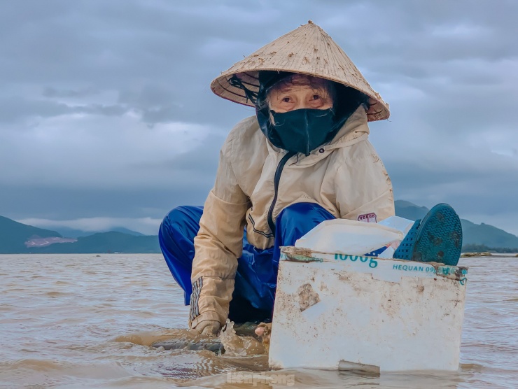 Cạnh đó, bà Đinh Thị Hoa (71 tuổi, xã Lộc Hải) đang thoăn thoắt chiếc cào trên tay để kiếm được nhiều sò nhất có thể trước khi nước lên, mỗi ngày bà kiếm được 150.000 - 200.000 đồng từ việc cào nghêu, sò. “Gần 20 năm gắn liền với nghề tôi đã quá quen với công việc này. Ngày nào cũng phải “bán mặt cho nước bán lưng cho trời” để kiếm thu nhập chứ không thể bỏ được, nhất là mùa Tết”, bà Hoa cho biết.