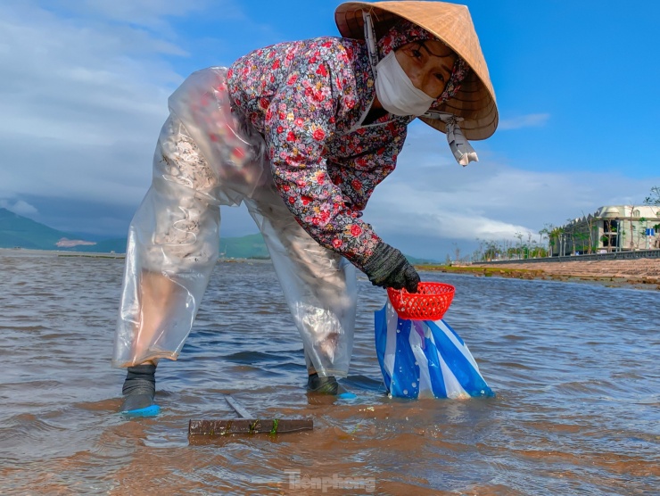 Nhọc nhằn mưu sinh trên đầm Lập An ngày sát Tết - 10