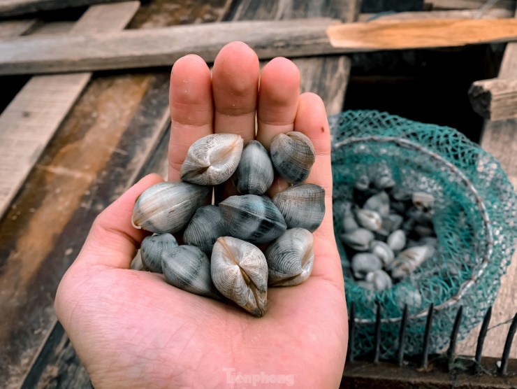 Những túi nghêu, sò là thành quả sau những giờ làm việc vất vả.