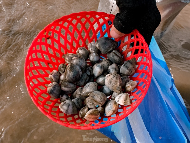 Nhọc nhằn mưu sinh trên đầm Lập An ngày sát Tết - 15