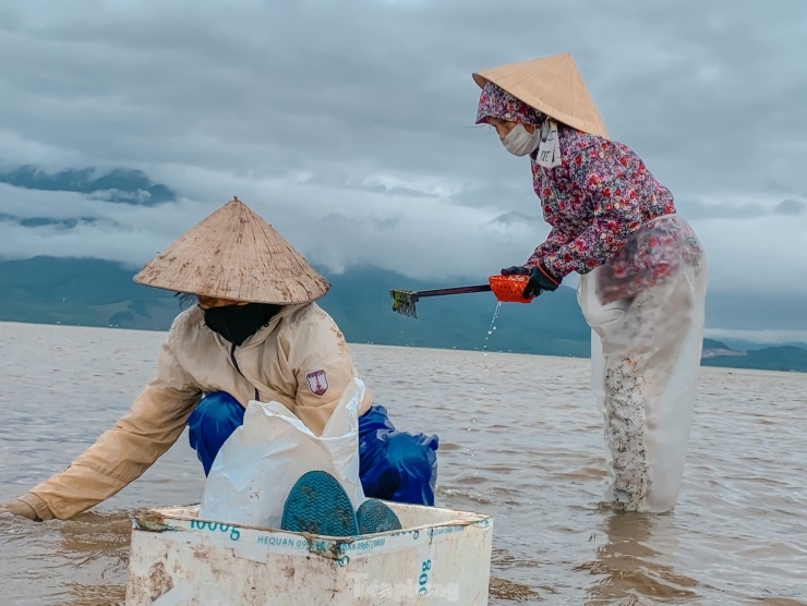 Cũng như nhiều người lao động khác, những người dân ở ven đầm Lập An vẫn tất tả mưu sinh. Bà con mong sao những ngày cận Tết này, thời tiết trong thời gian tới thuận lợi để có thể kiếm thêm thu nhập lo cho cuộc sống bớt nhọc nhằn hơn.