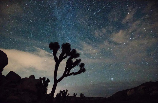 Một trận mưa sao băng từ Công viên Quốc gia Joshua Tree (Mỹ) - Ảnh: NASA