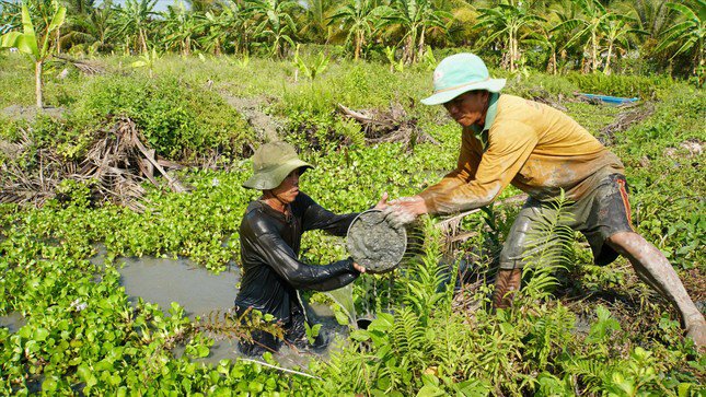 Nhóm thợ bê từng thùng đất từ đáy sông