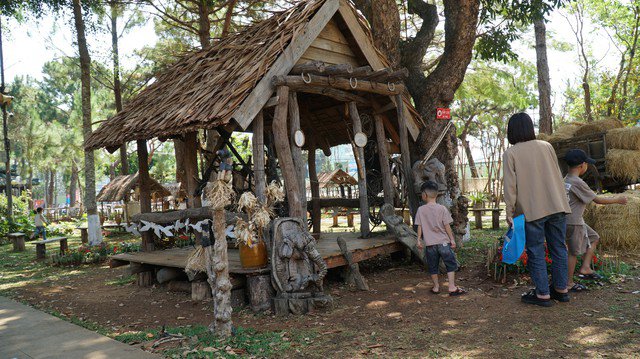 Ngôi nhà voi thu hút đông đảo khách đến tham quan