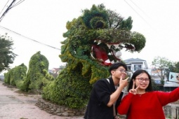 Tin tức trong ngày - Bất ngờ diện mạo mới của cặp rồng xanh ở Vinh sau "thẩm mỹ"