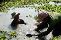 Sống ở đáy sông: Nổi chìm ai tỏ?