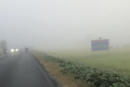 Tin tức trong ngày - CLIP: Sương mù trắng xóa khiến Bạc Liêu như... Đà Lạt!