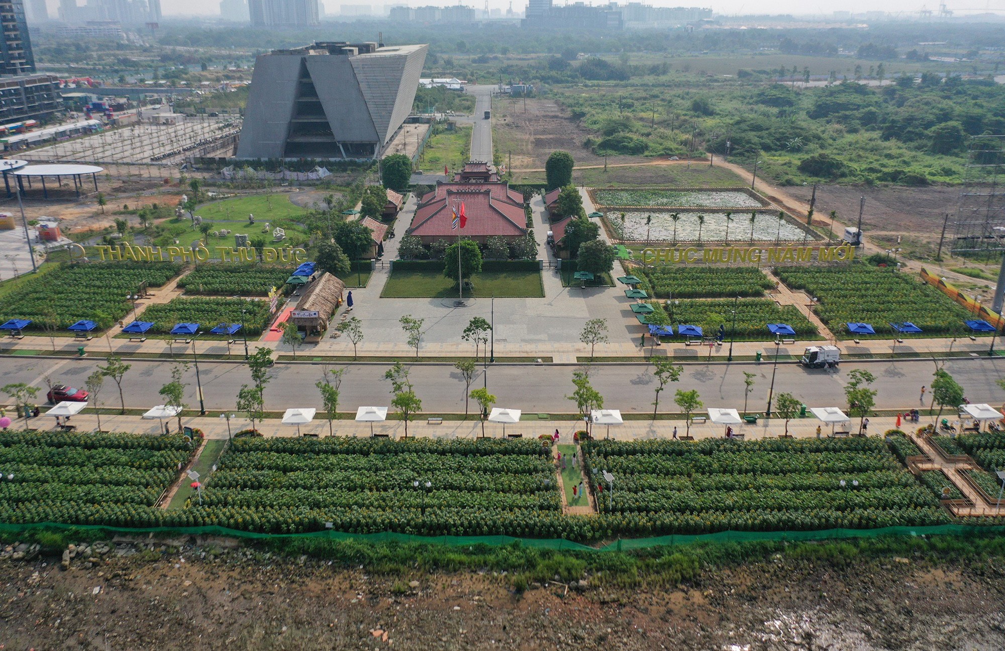 20.000 cây hoa hướng dương chào đón Tết Nguyên đán 2024 được trồng gần 1 tháng qua hiện đang dần nở rộ.