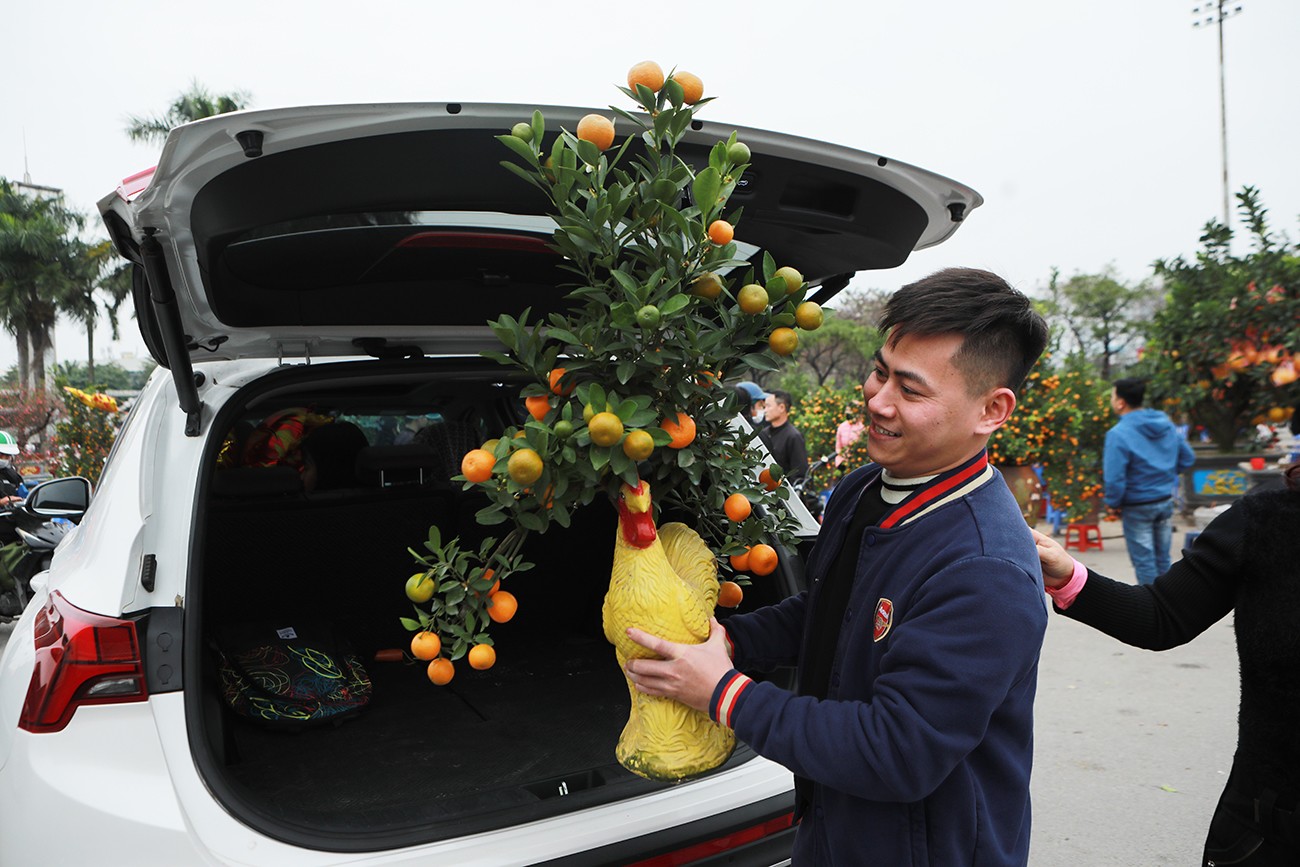 Đào rừng, quất bonsai lên ô tô về nhà gia chủ trong chiều 29 Tết.