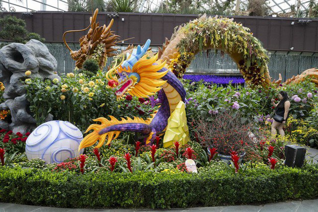 Tác phẩm sắp đặt theo chủ đề rồng
chào mừng Tết Nguyên Đán 2024 tại Công viên Gardens by the Bay
(Singapore). Ảnh: Tân Hoa Xã