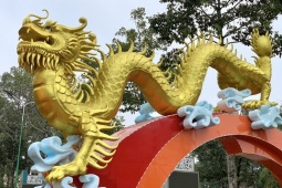 Tin tức trong ngày - Đôi rồng vàng vừa lộ diện đã “hút” khách ở Bình Phước