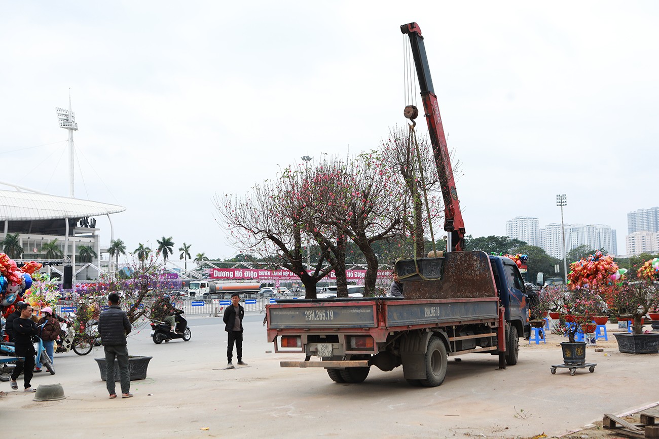 Chiều 30 Tết, chủ buôn đào, quất vừa bán vừa “mừng tuổi”, khách vẫn mặc cả - 10