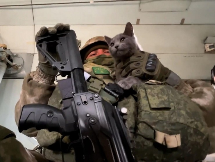 Một con mèo lông xám của quân Nga tại chiến trường TP Bakhmut (tỉnh Donetsk, miền Đông Ukraine). Ảnh: SPUTNIK
