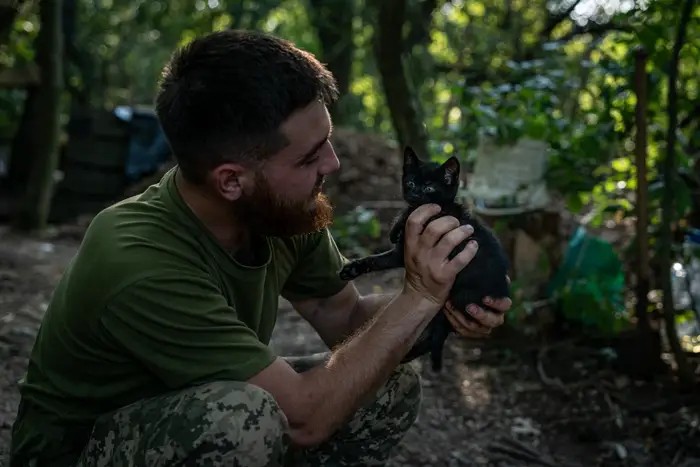 Binh sĩ Ukraine chơi với một con mèo hoang ở tỉnh Donetsk (miền Đông Ukraine). Ảnh: GETTY IMAGES