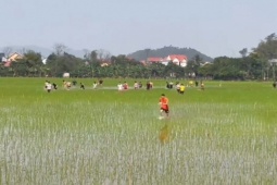 Tin tức trong ngày - Video: Cuộc thi chạy khắc nghiệt bậc nhất thế giới vào dịp Tết ở quê Hoa hậu Đỗ Thị Hà