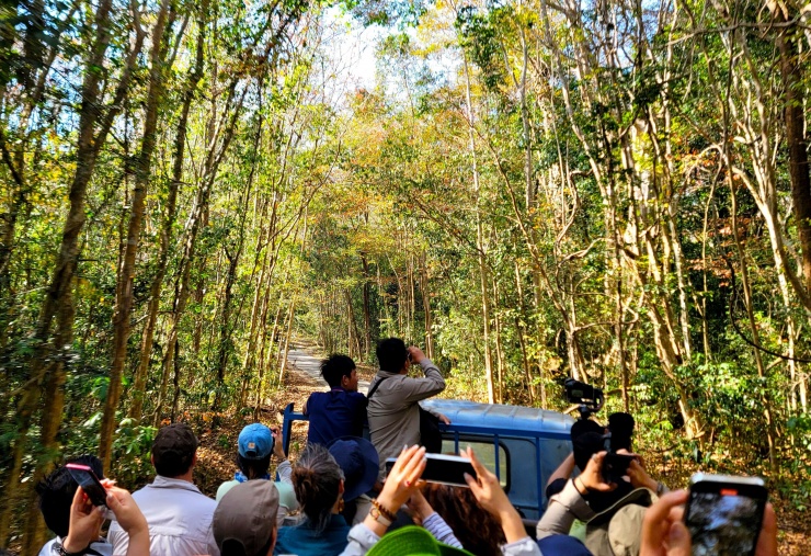 Trong dịp hiếm hoi đi cùng các chuyên gia Tổ chức Quốc tế về Bảo tồn Thiên nhiên tại Việt Nam (WWF-Việt Nam) công tác tại VQG, chúng tôi may mắn được tham gia vào hành trình xuyên rừng đến khu Ramsar Bàu Sấu.