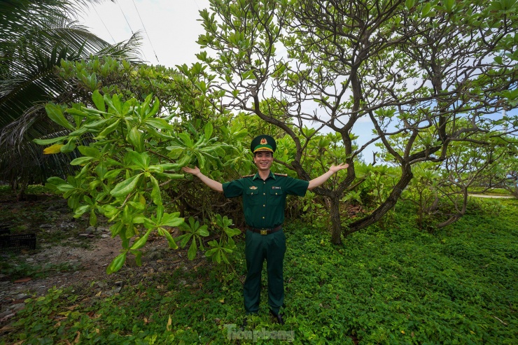 Trung tá Trần Công Du - Đạo diễn ánh sáng Đoàn Văn công Bộ đội Biên phòng, chụp ảnh với hai cây phong ba (bên phải) và cây bão táp. Hai giống cây chống chịu được thời tiết khắc nghiệt giữa biển.