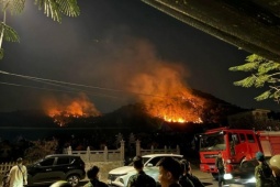 Tin tức trong ngày - Gần 200 người được huy động khống chế đám cháy rừng ở Hải Phòng