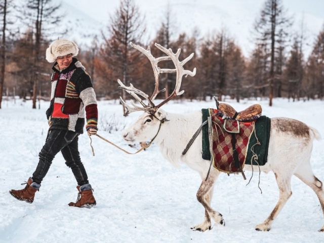 Du lịch - Xuất hành đầu năm: Xuyên rừng tuyết, đến làng nuôi tuần lộc tách biệt với thế giới