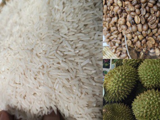 Thị trường - Tiêu dùng - Sầu riêng, cà phê... tiếp tục trúng giá
