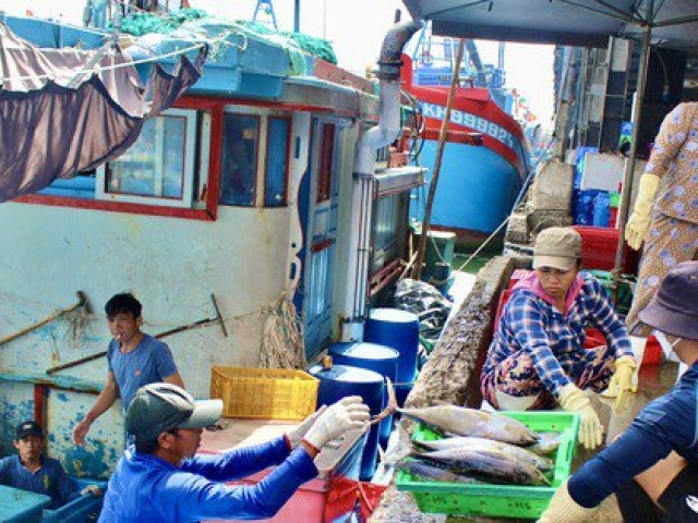 Thị trường - Tiêu dùng - Ngư dân đón lộc đầu năm sau chuyến biển xuyên Tết ở Trường Sa