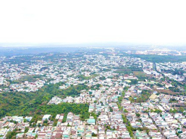 Tin tức trong ngày - Đề xuất đốn hạ 38 cây xanh sau vụ đổ đè chết người ở Đắk Lắk