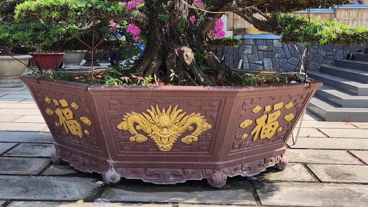 Dạo quanh khuôn viên chùa, du khách dễ dàng bắt gặp hình tượng rồng có mặt ở nhiều nơi. Ngay cả một chậu cây cũng được khắc hình rồng.