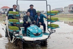 Tin tức trong ngày - Thủ tướng xuống đồng cấy lúa cùng nông dân Hải Dương