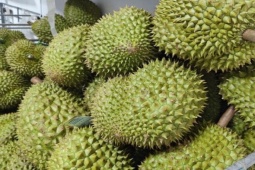 Thị trường - Tiêu dùng - Nóng tuần qua: Trồng nghịch mùa thứ quả của Việt Nam mà Trung Quốc thích mê, nông dân thu bộn tiền