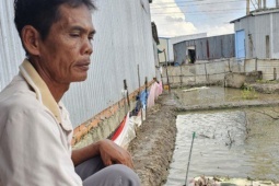 CLIP: Nuôi loài cá có thể leo cây, chạy trên mặt nước và đi trên mặt đất