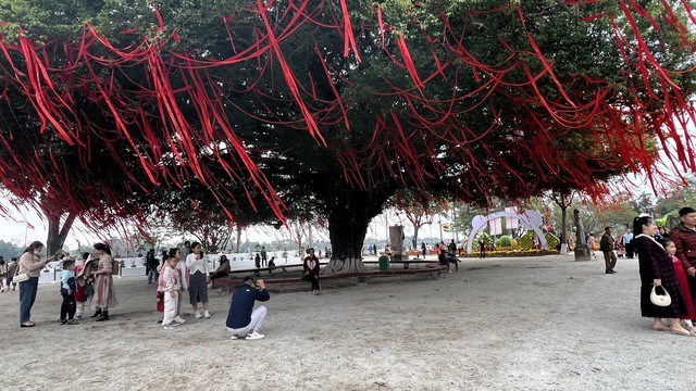 Trở thành chỗ nghỉ ngơi, ngắm cảnh, check in.